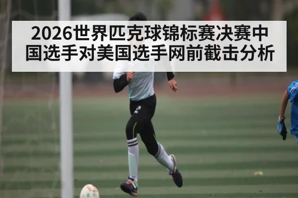 2026世界匹克球锦标赛决赛中国选手对美国选手网前截击分析 - hth